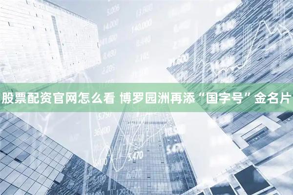 股票配资官网怎么看 博罗园洲再添“国字号”金名片
