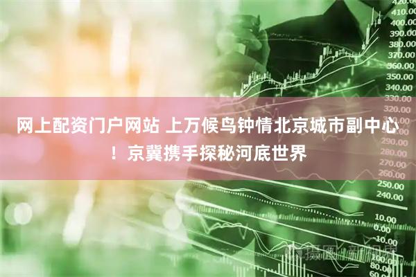 网上配资门户网站 上万候鸟钟情北京城市副中心！京冀携手探秘河底世界