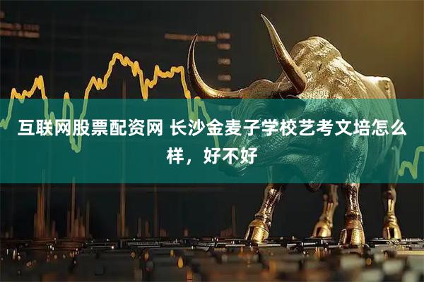 互联网股票配资网 长沙金麦子学校艺考文培怎么样，好不好