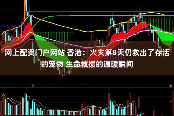网上配资门户网站 香港：火灾第8天仍救出了存活的宠物 生命救援的温暖瞬间