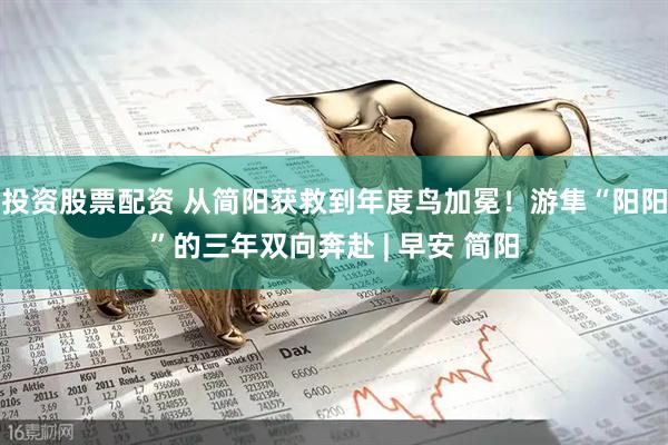 投资股票配资 从简阳获救到年度鸟加冕！游隼“阳阳”的三年双向奔赴 | 早安 简阳