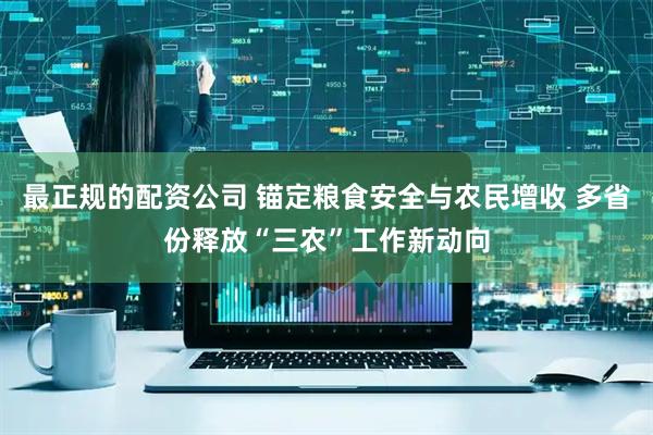 最正规的配资公司 锚定粮食安全与农民增收 多省份释放“三农”工作新动向