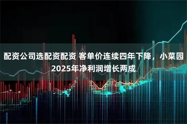 配资公司选配资配资 客单价连续四年下降，小菜园2025年净利润增长两成