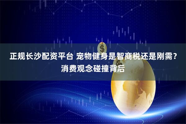 正规长沙配资平台 宠物健身是智商税还是刚需？消费观念碰撞背后
