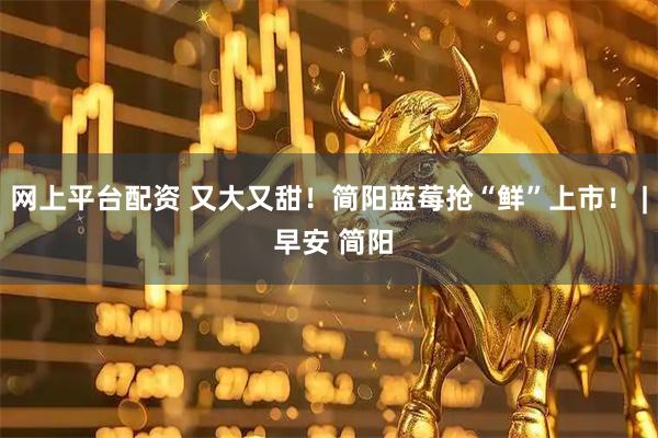 网上平台配资 又大又甜！简阳蓝莓抢“鲜”上市！ | 早安 简阳